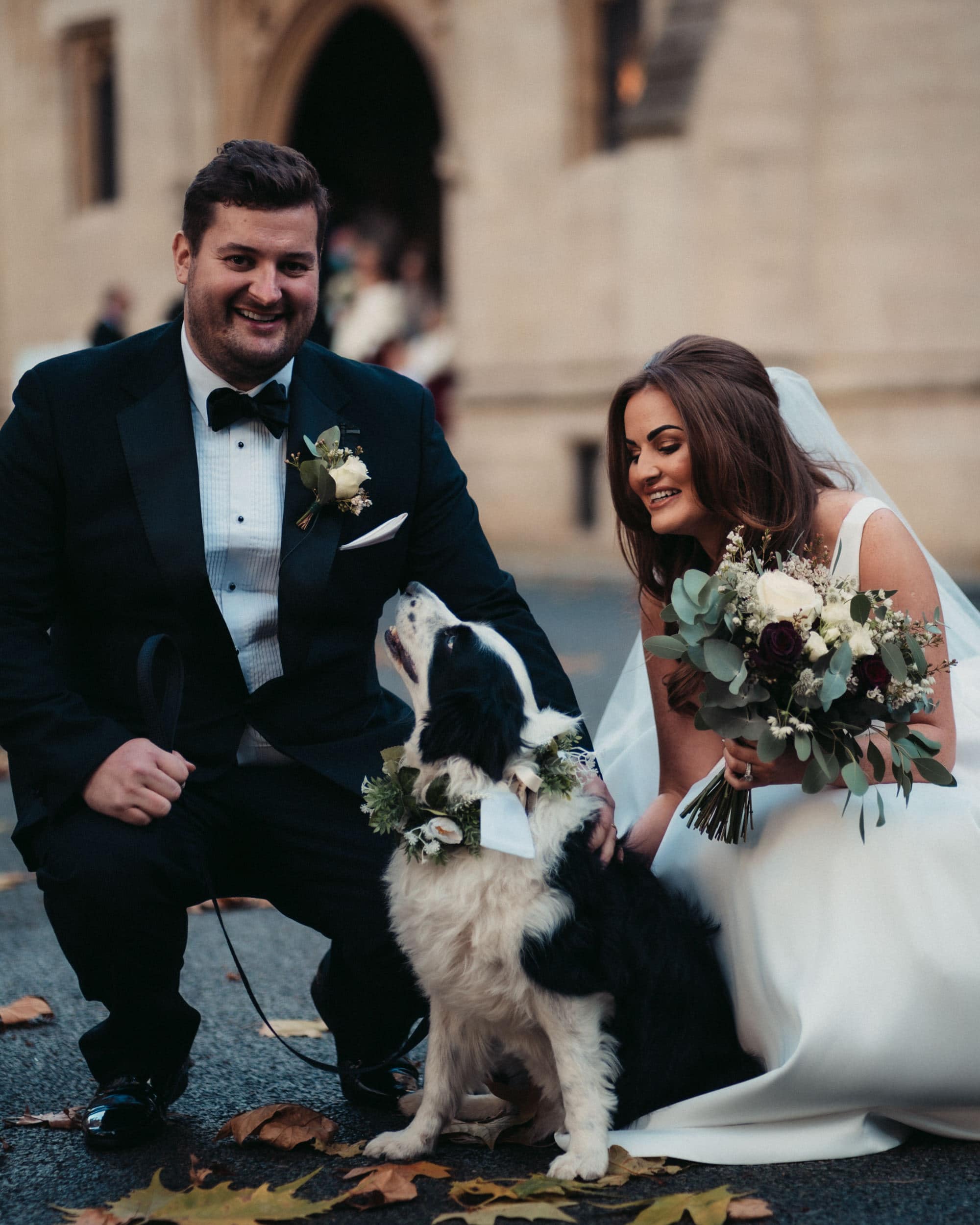 border collie as ring bearer at wedding