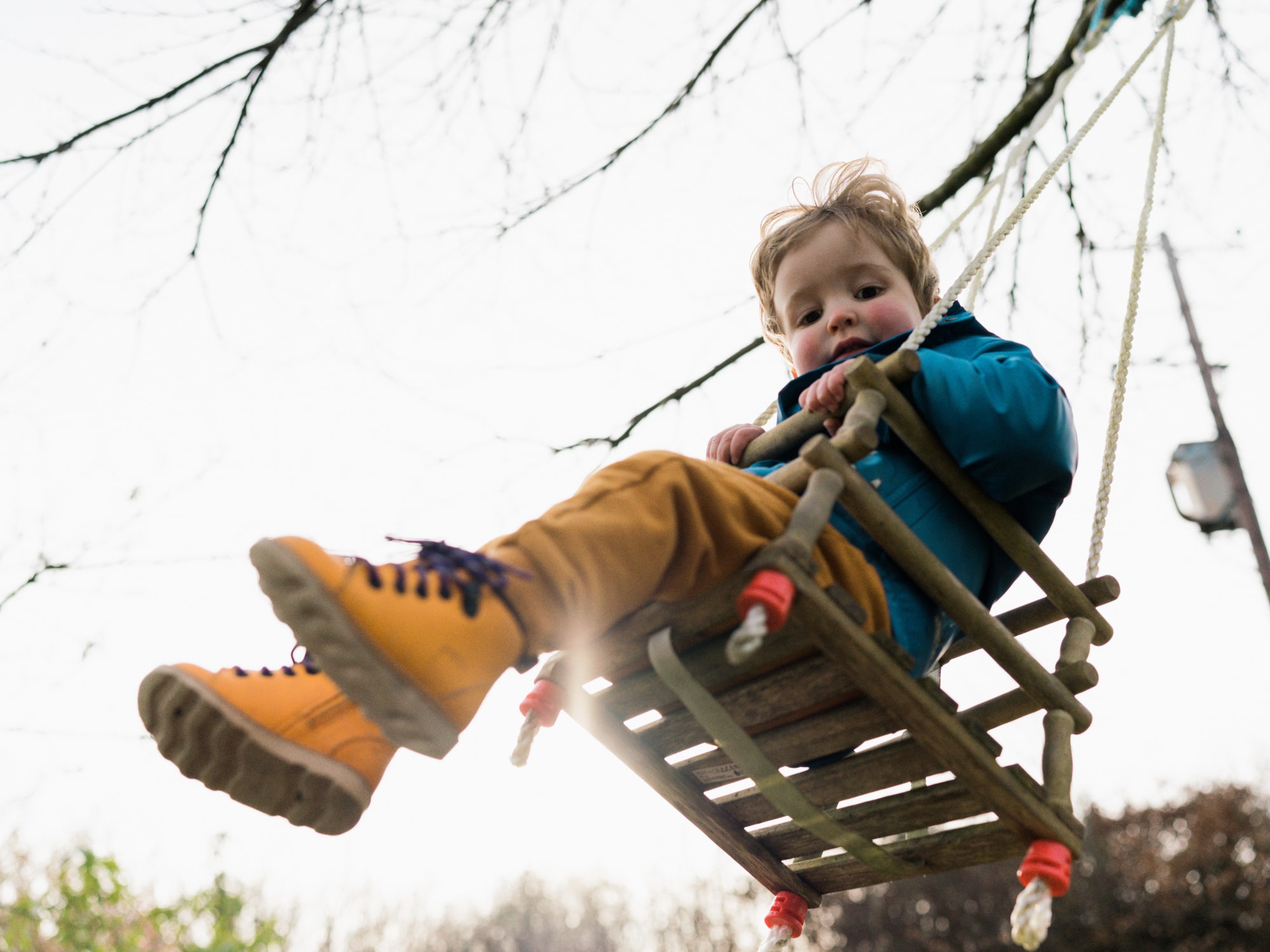 Family Photography Wildly in Love