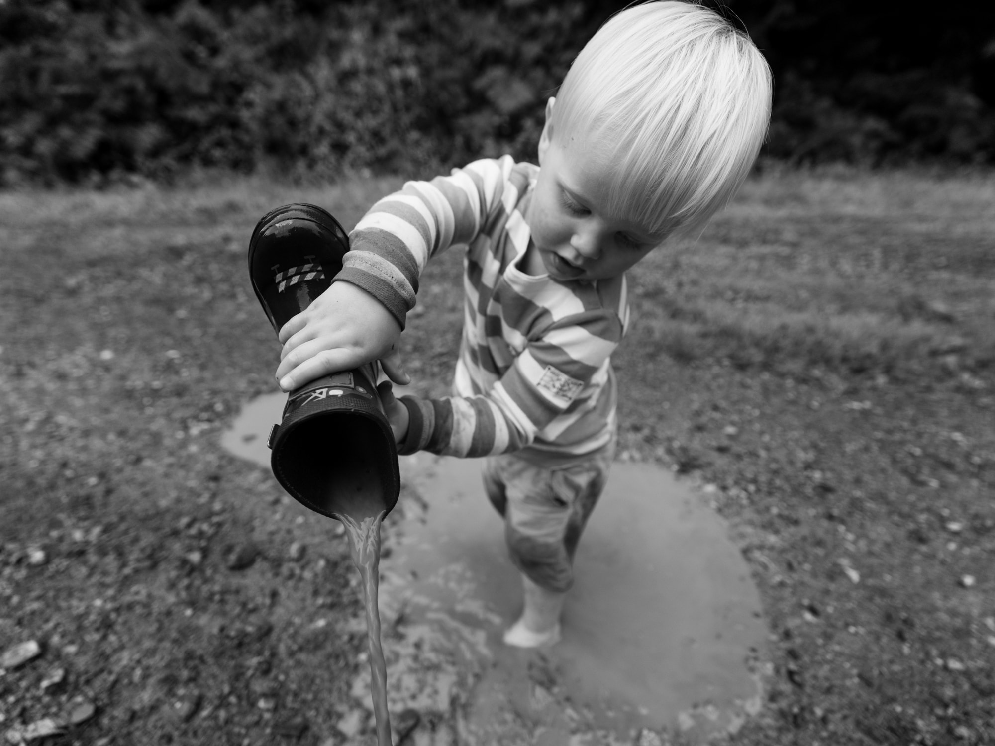 Family Photography Wildly in Love