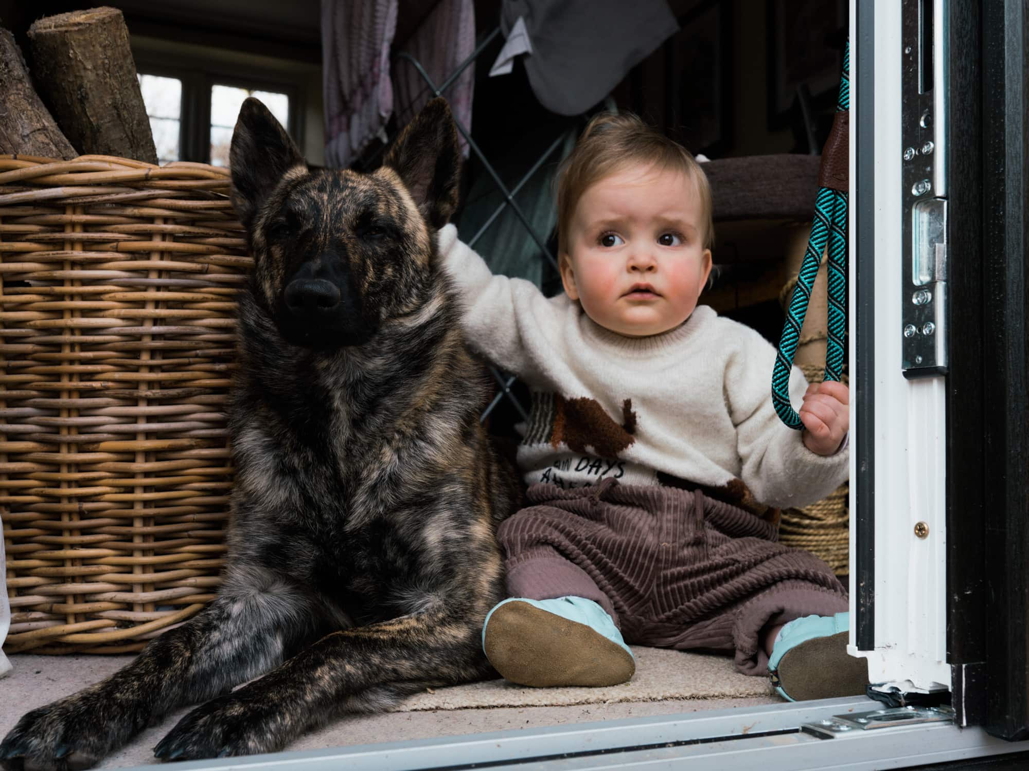Children & Pet Photography Portfolio Wildly in Love